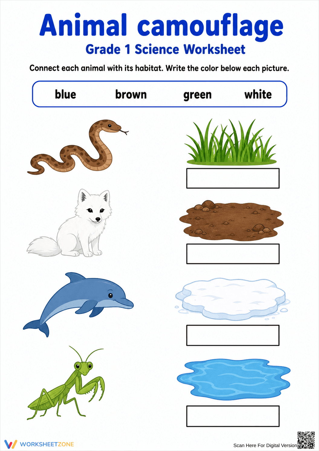 Essential Animal Camouflage Worksheet | Grade 1 Science - Page 1