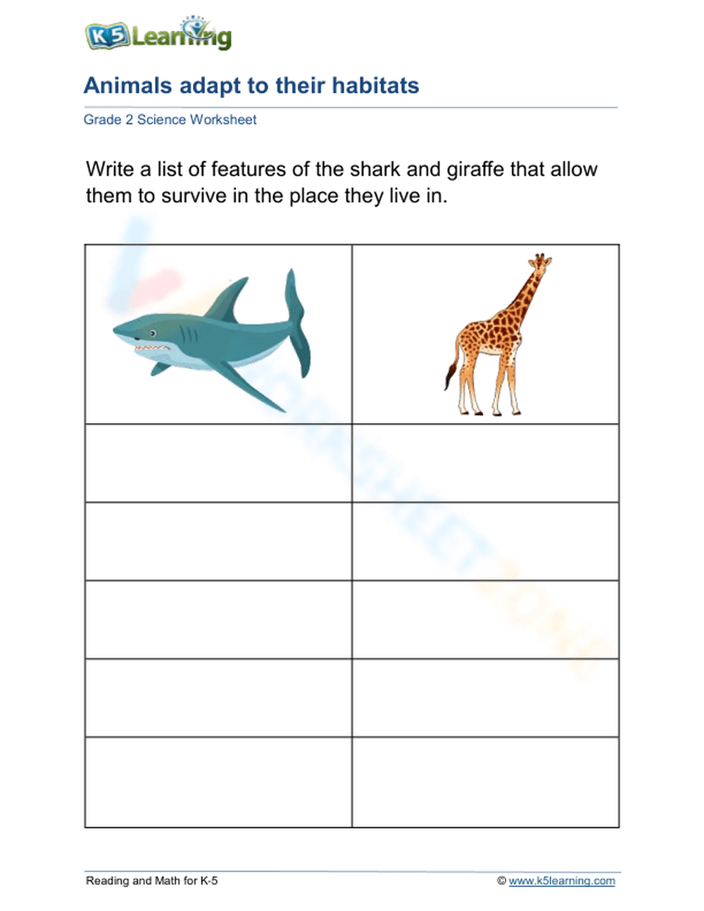 Essential Animal Adaptations Worksheet | Grade 2 Science - Page 1