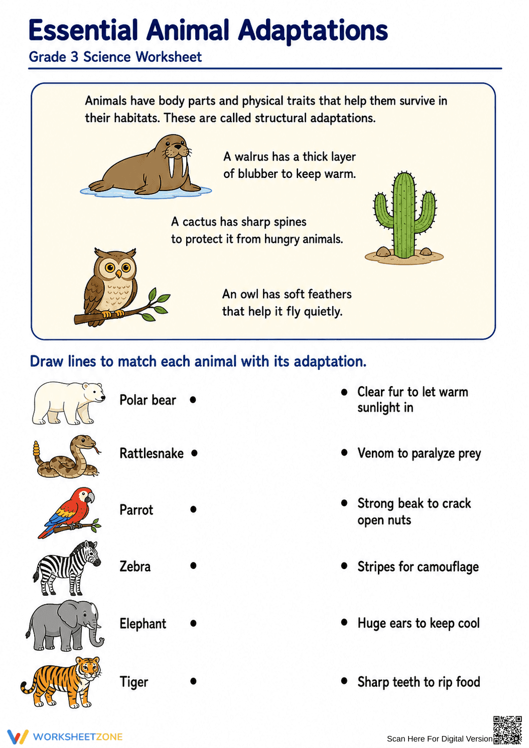 Essential Animal Adaptations Worksheet | Grade 3 Science - Page 1