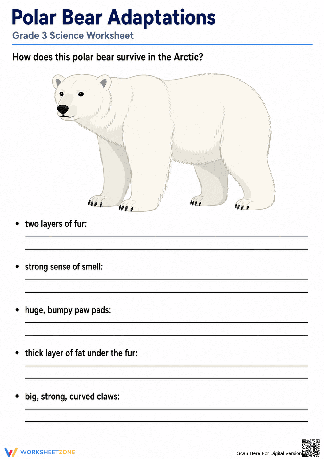 Essential Polar Bear Adaptations Worksheet | Grade 3 Science - Page 1