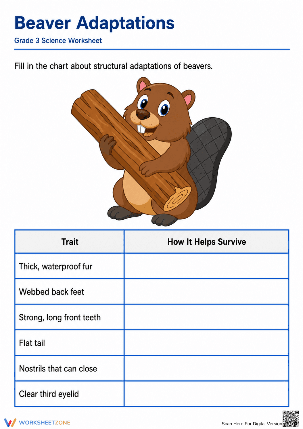 Grade 3 Beaver Adaptations — Printable No-Prep Worksheet - Page 1