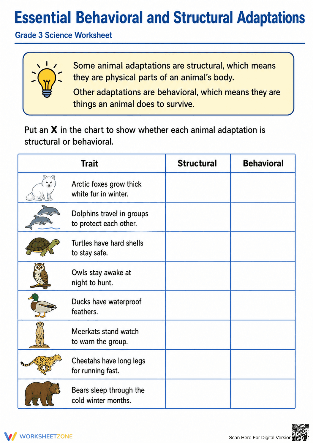 Essential Grade 3 Adaptations Worksheet | Printable - Page 1