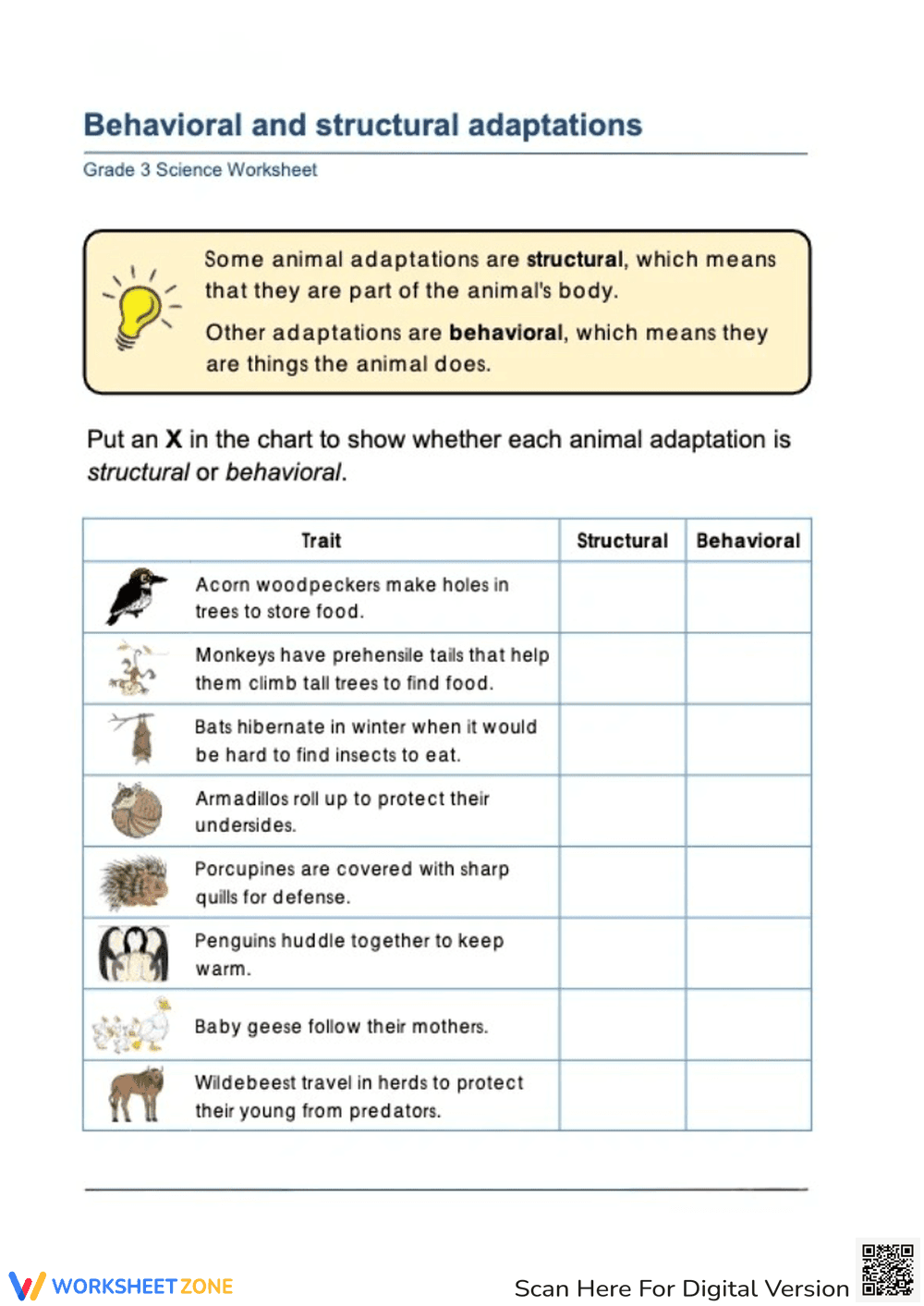 Animal Adaptations Worksheet | Essential Grade 3 Science - Page 1