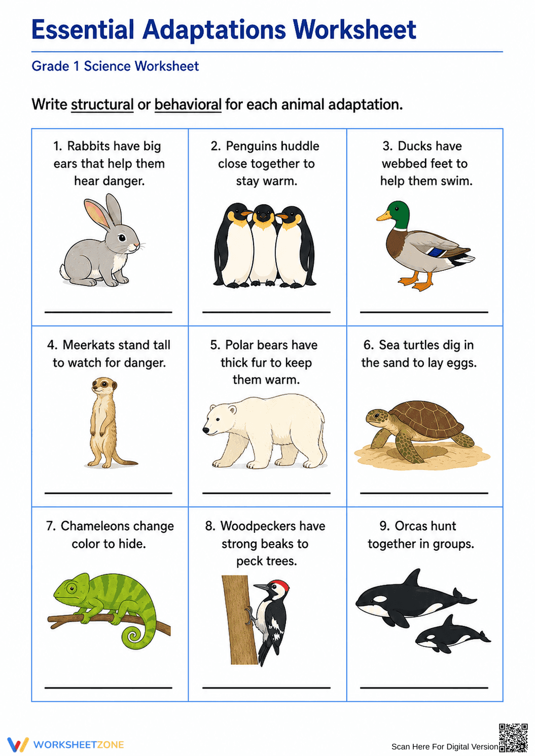 Grade 1 Animal Adaptations — Printable No-Prep Worksheet - Page 1