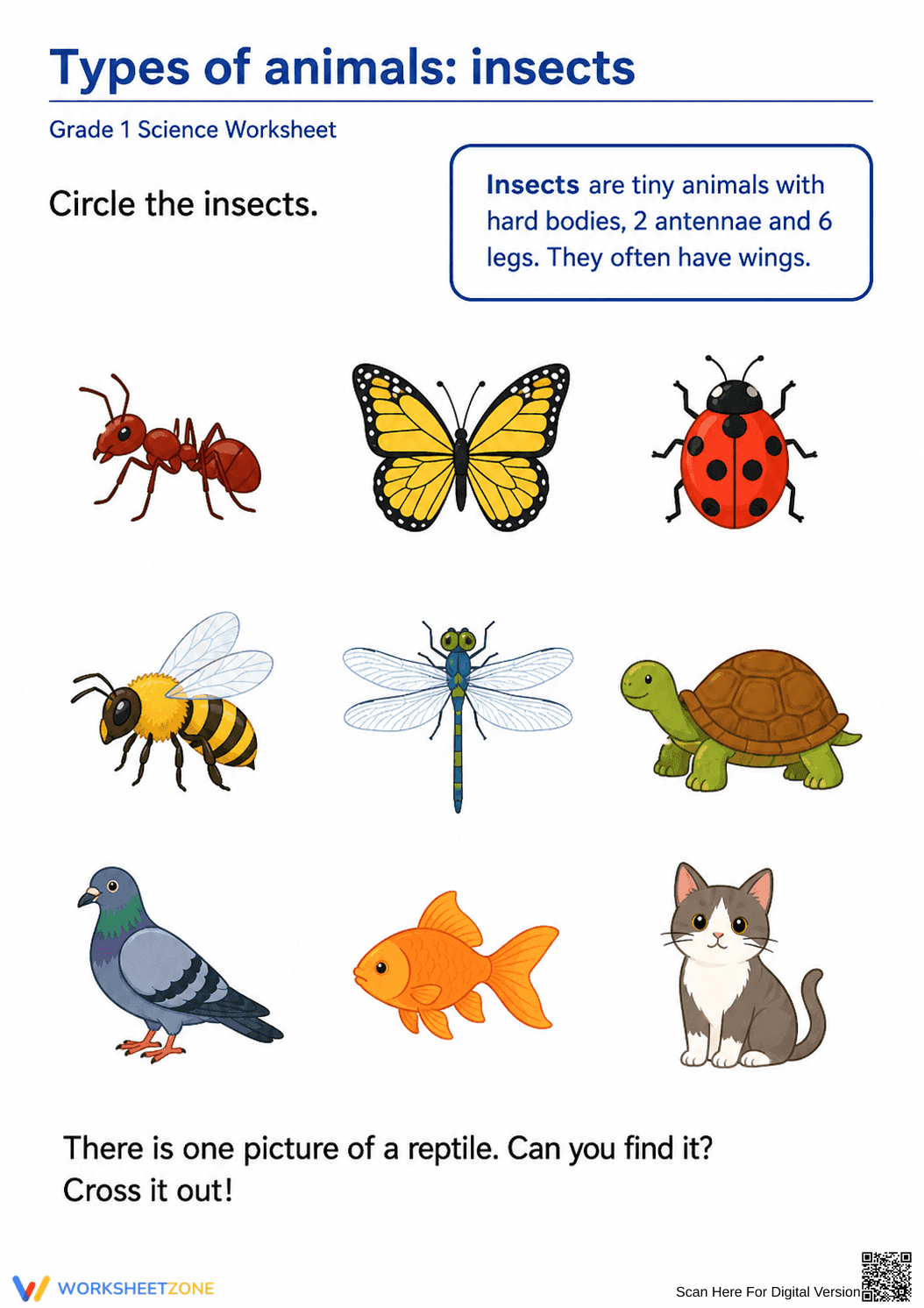 Grade 1 Insects — Printable No-Prep Worksheet - Page 1