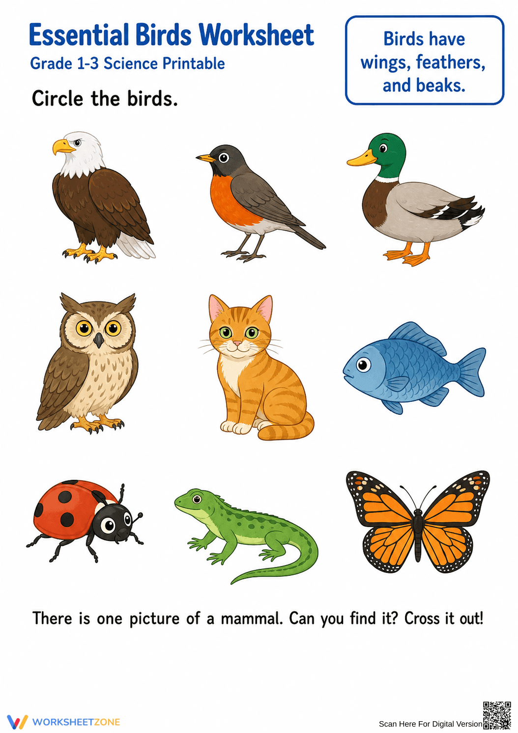 Essential Birds Worksheet | Grade 1 Science Printable - Page 1