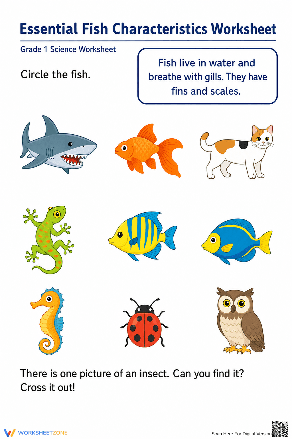 Essential Fish Characteristics Worksheet | Grade 1 Ready - Page 1
