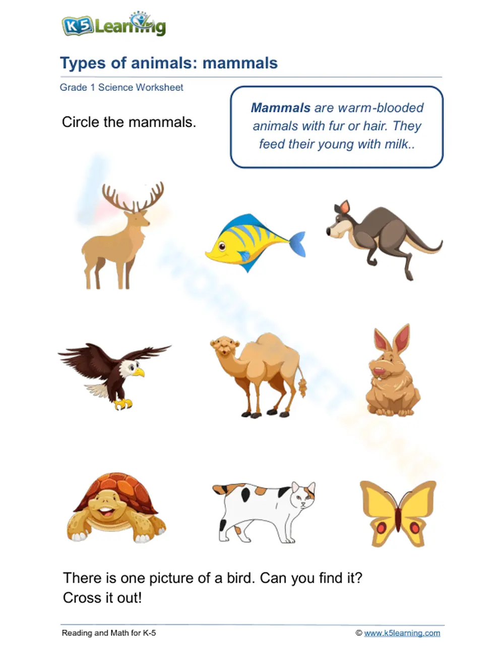 Printable Grade 1 Mammals Worksheet | Essential Science - Page 1
