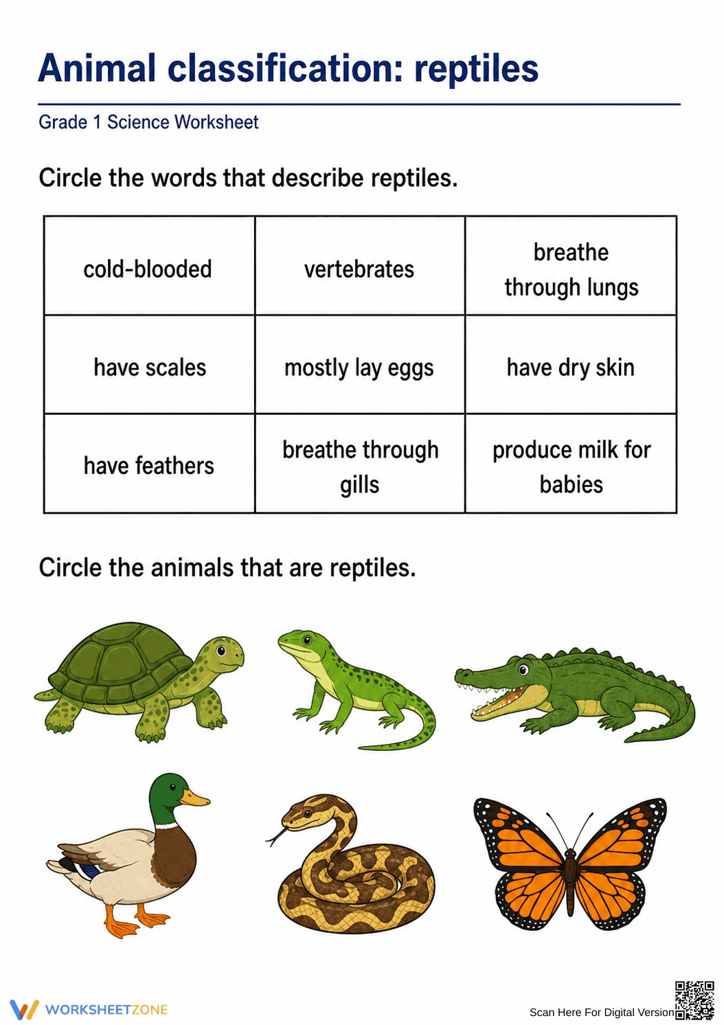 Essential Reptile Classification Worksheet | Grade 1 Ready - Page 1
