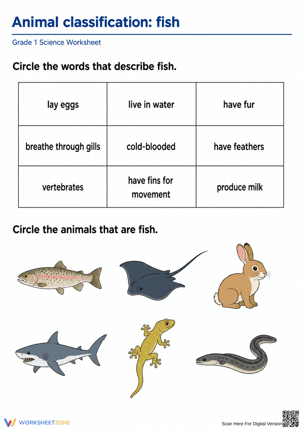 Printable Fish Classification Worksheet | Grade 1 Science - Page 1