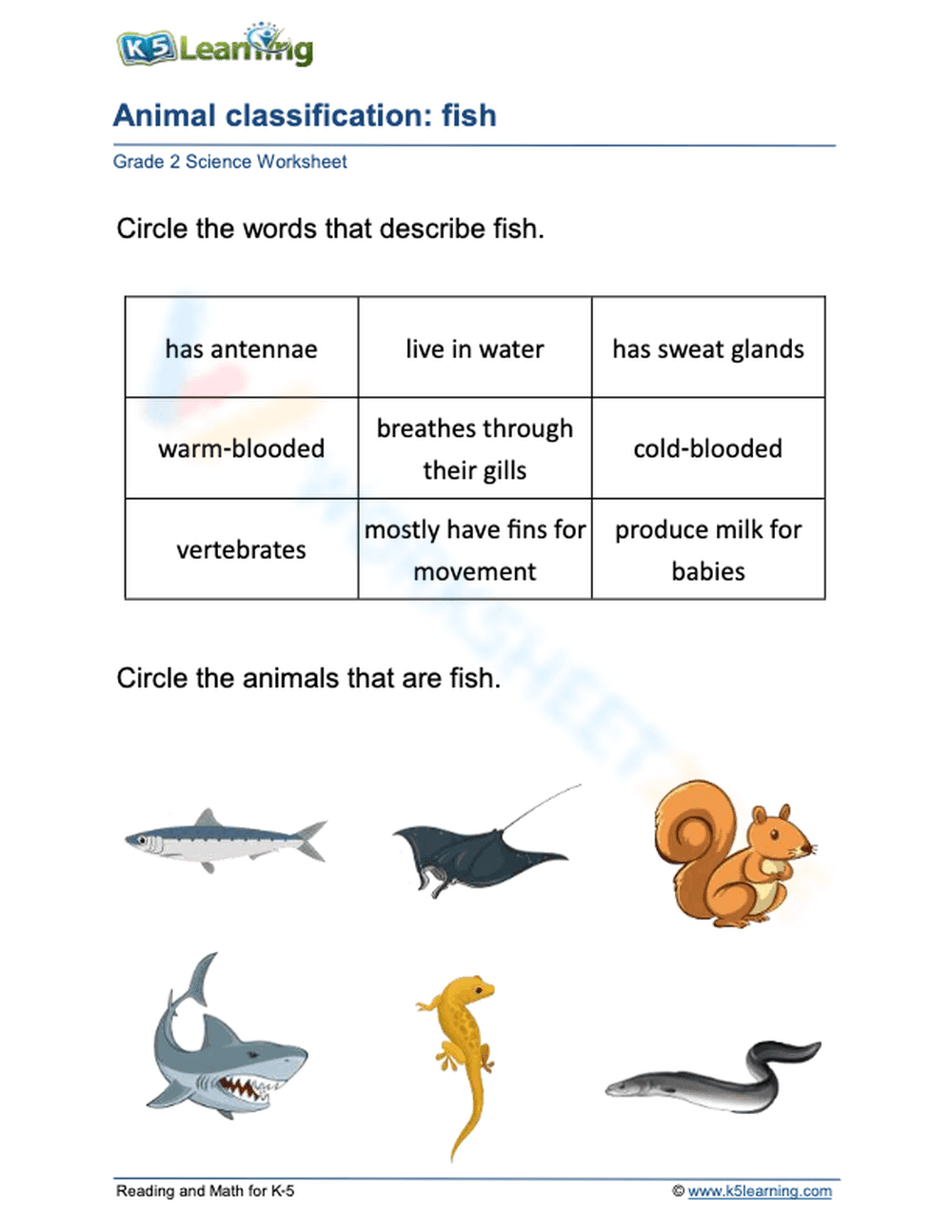 Essential Animal Classification: Fish Worksheet | Grade 1 - Page 1