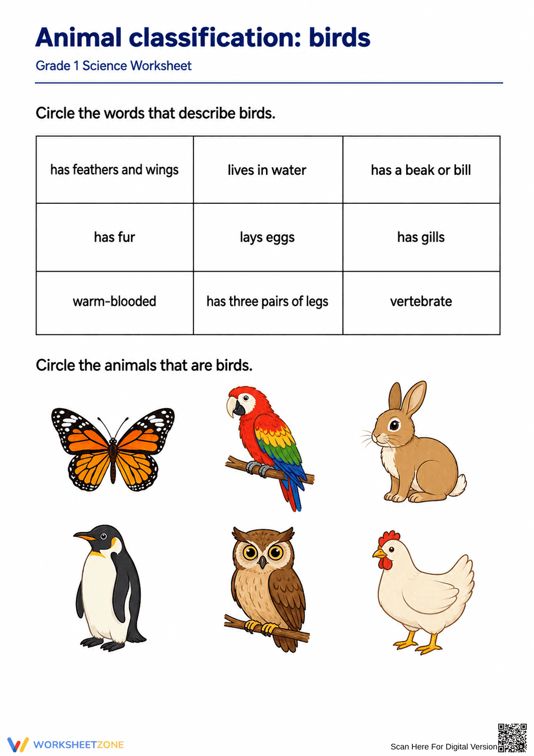 Animal Classification: Birds Worksheet | Grade 1 Essential - Page 1