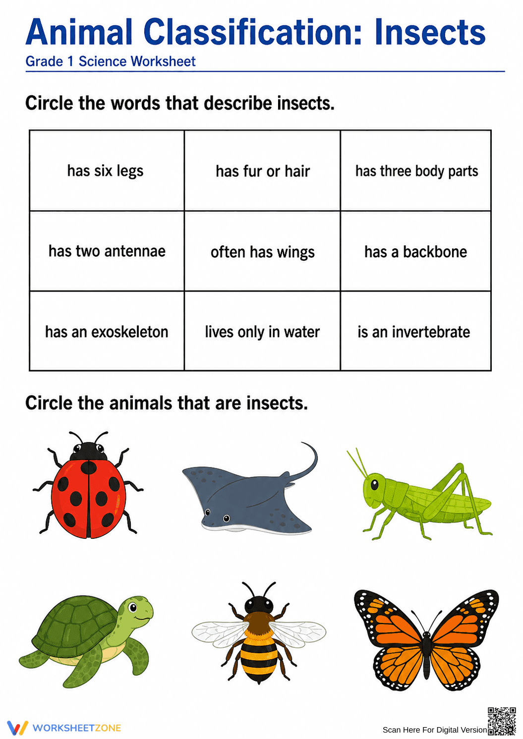 Grade 1 Insect Classification — Printable No-Prep Worksheet - Page 1