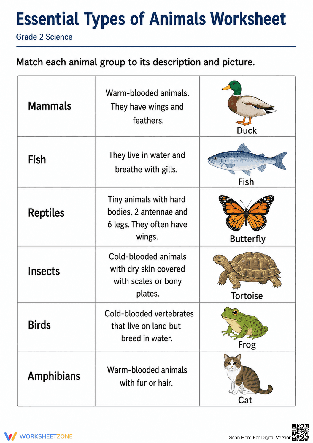 Essential Types of Animals Worksheet | Grade 2 Science - Page 1