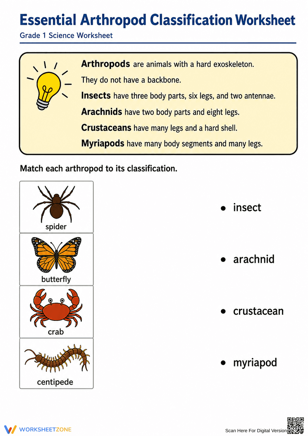 Essential Arthropod Classification Worksheet | Grade 1 Ready - Page 1