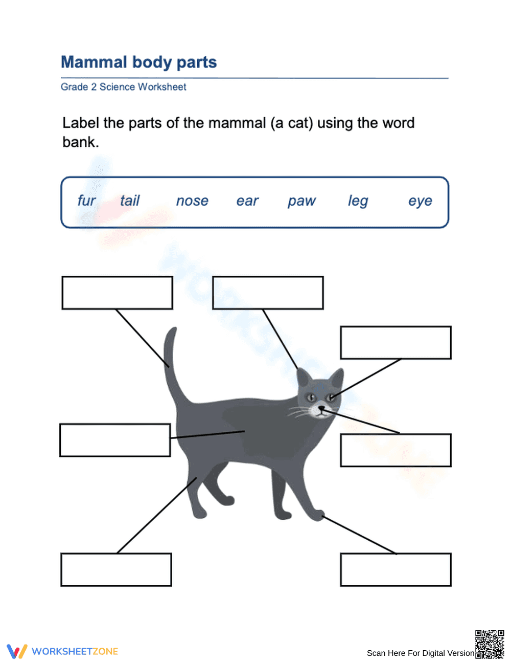 Essential Mammal Body Parts Worksheet | Grade 2 Science - Page 1