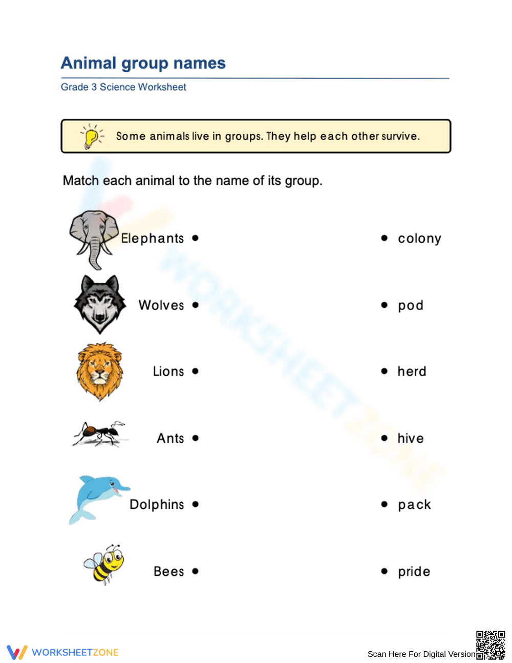 Printable Animal Group Names Worksheet | Grade 3 Science - Page 1