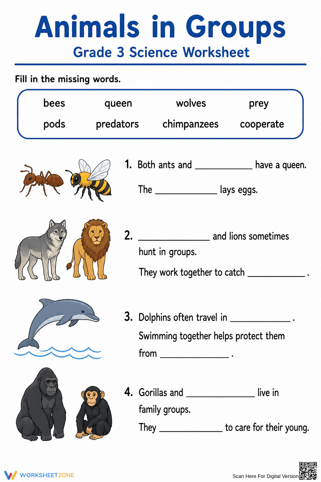 Animals in Groups Worksheet | Essential Grade 3 Science - Page 1