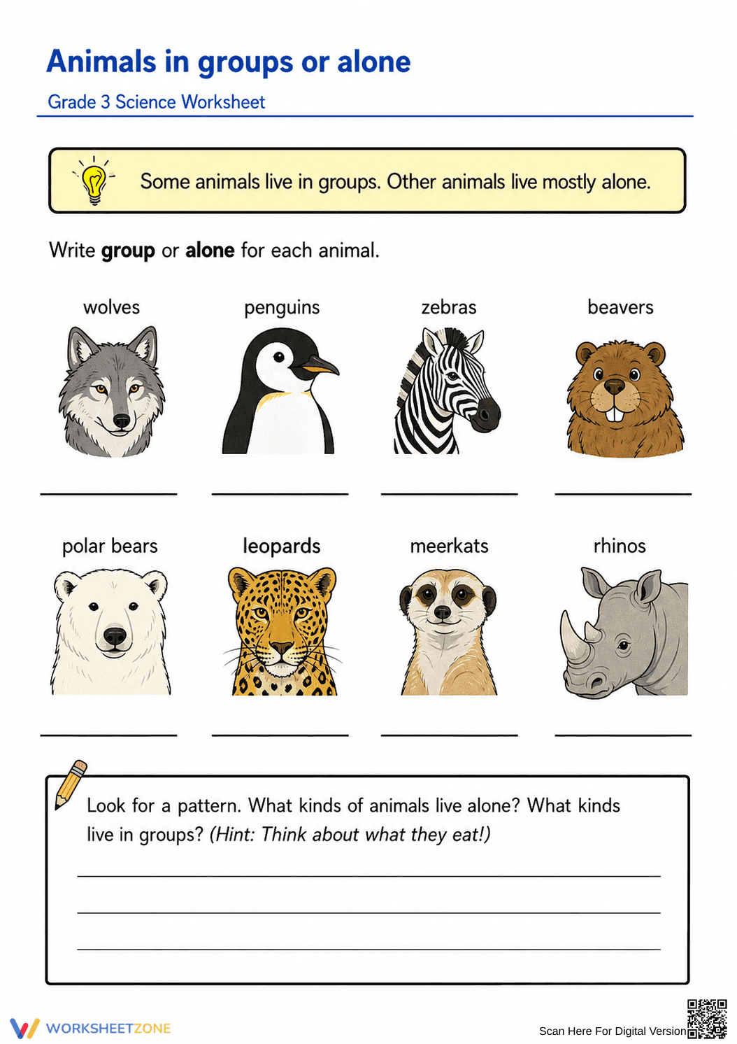 Grade 3 Animal Groups — Printable No-Prep Worksheet - Page 1