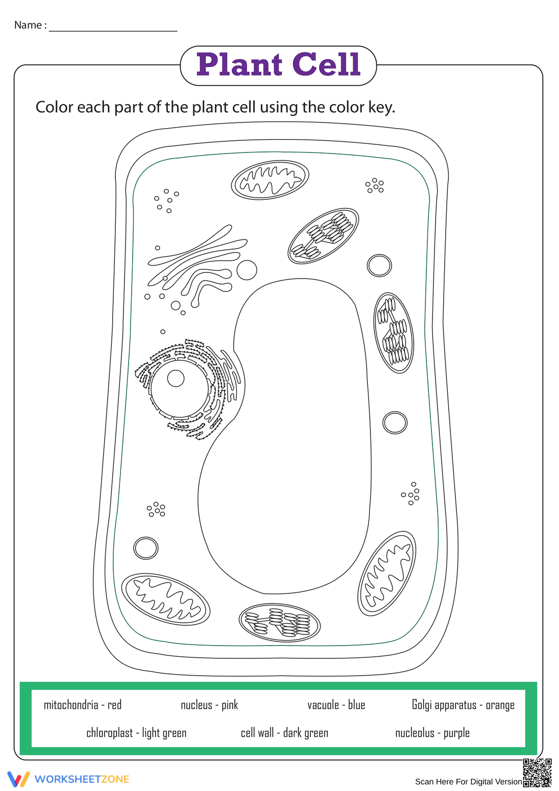 Essential Plant Cell Coloring Worksheet | Grade 4-8 - Page 1