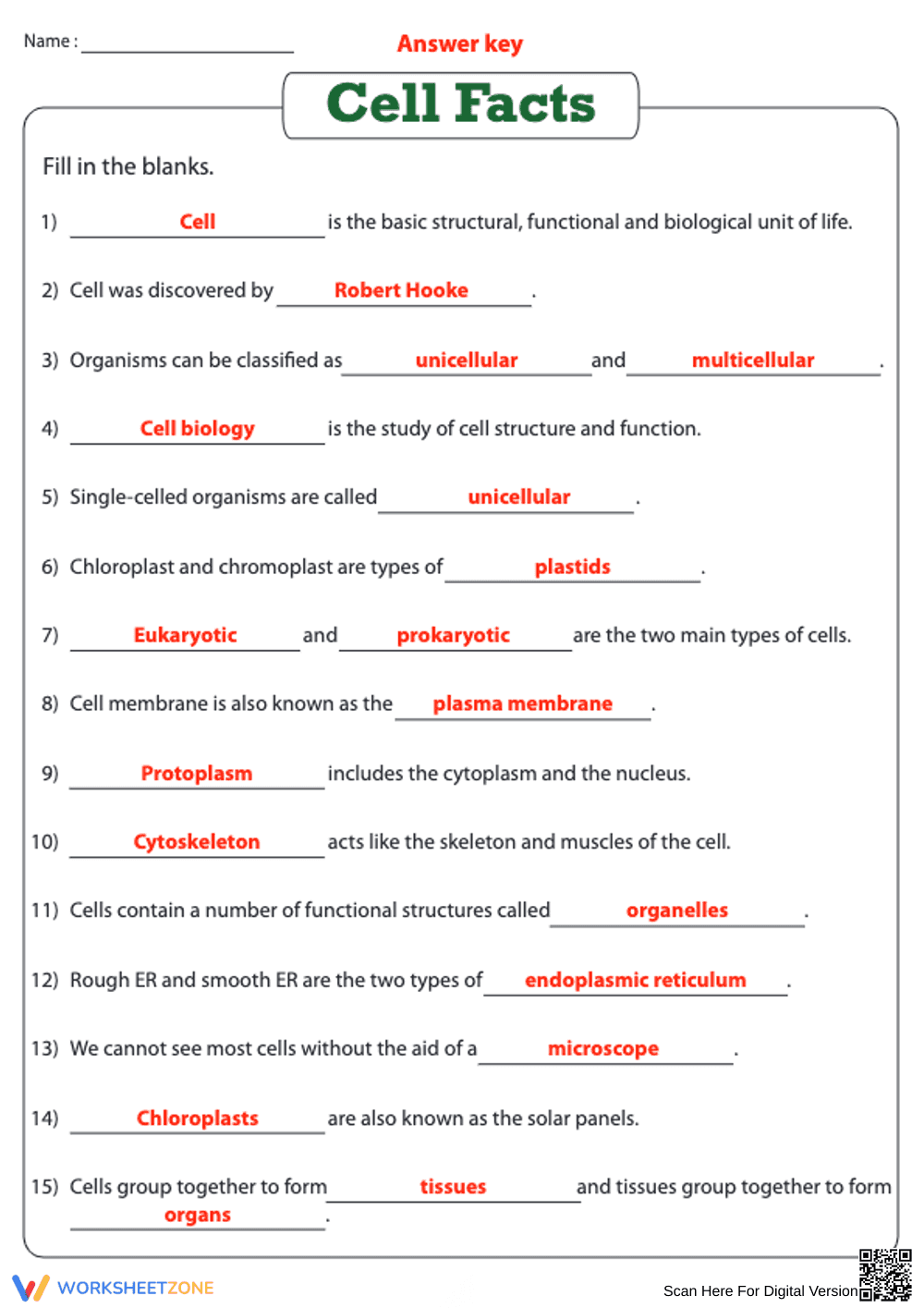 Essential Cell Facts Worksheet | Grade 4 Science Ready - Page 1