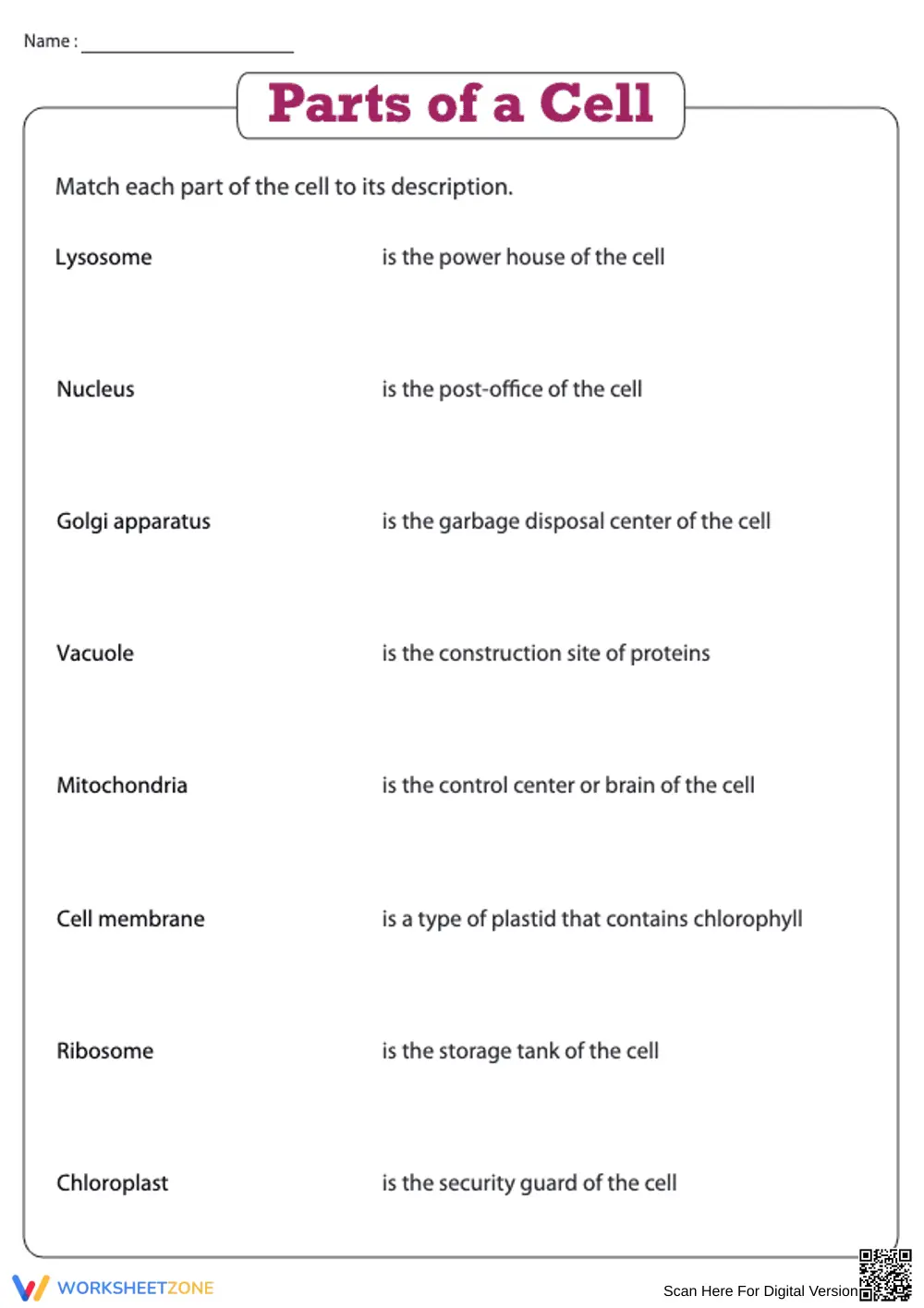 Essential Parts of a Cell Worksheet | Grade 4 Science - Page 1