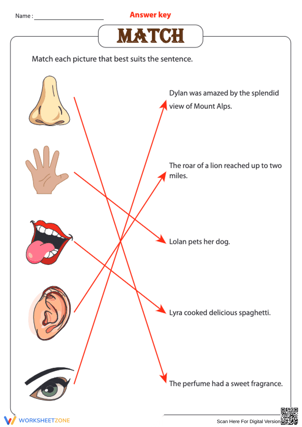 Grade K Five Senses — Printable No-Prep Worksheet - Page 1