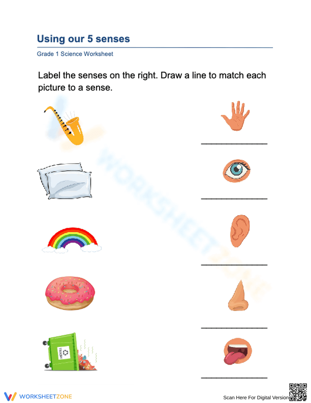 Grade 1 Five Senses — Printable No-Prep Worksheet - Page 1