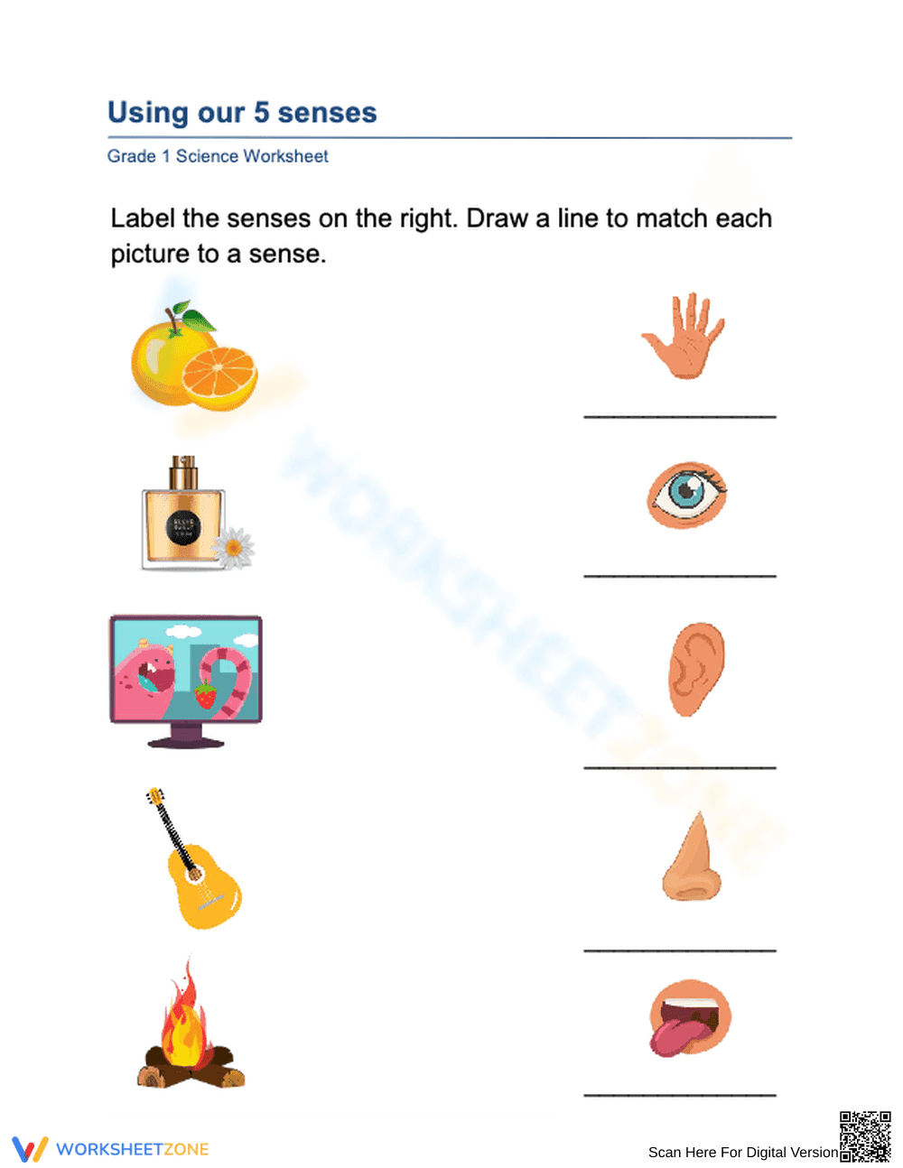 5 Senses Matching Worksheet | Grade 1 Science Essential - Page 1
