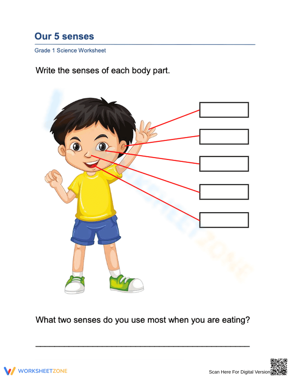 5 Senses Worksheet | Grade 1 Science Printable - Page 1