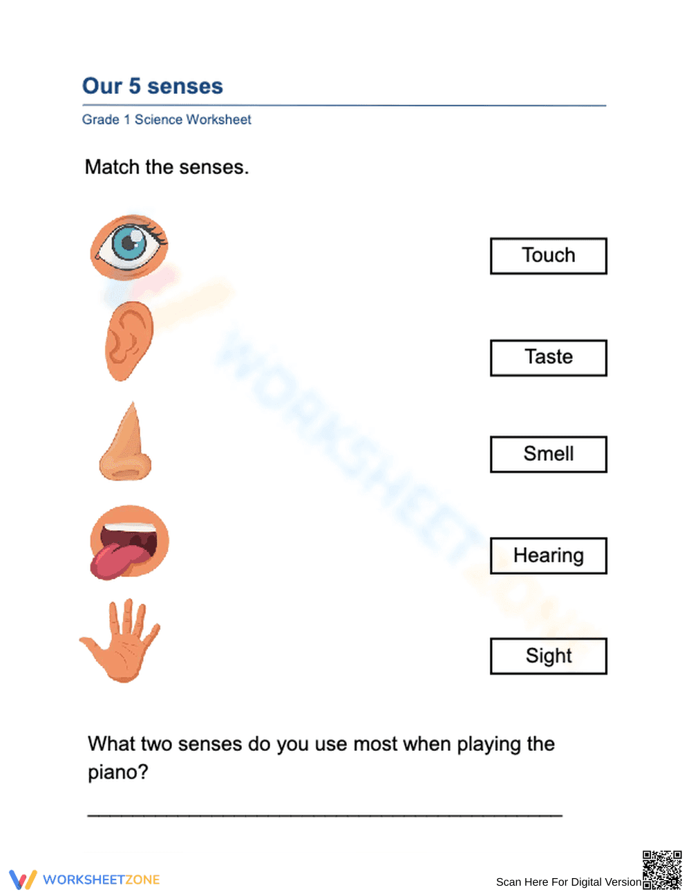 Grade 1 Five Senses — Printable No-Prep Worksheet - Page 1