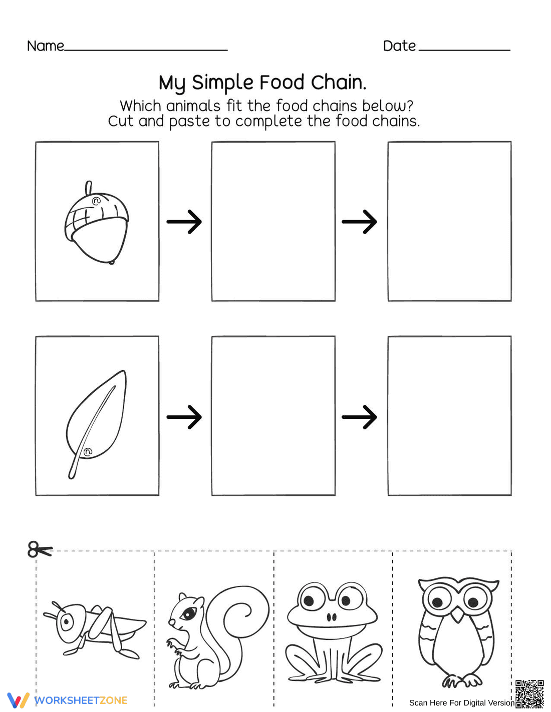 Simple Food Chain Worksheet | Printable Grade 1 Science - Page 1