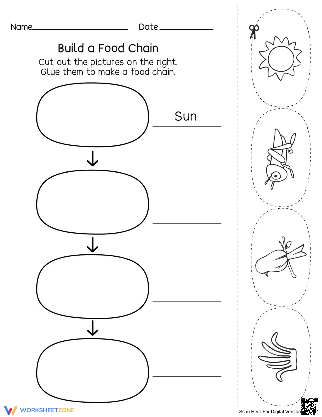 Printable Food Chain Worksheet | Grade 1 - Page 1