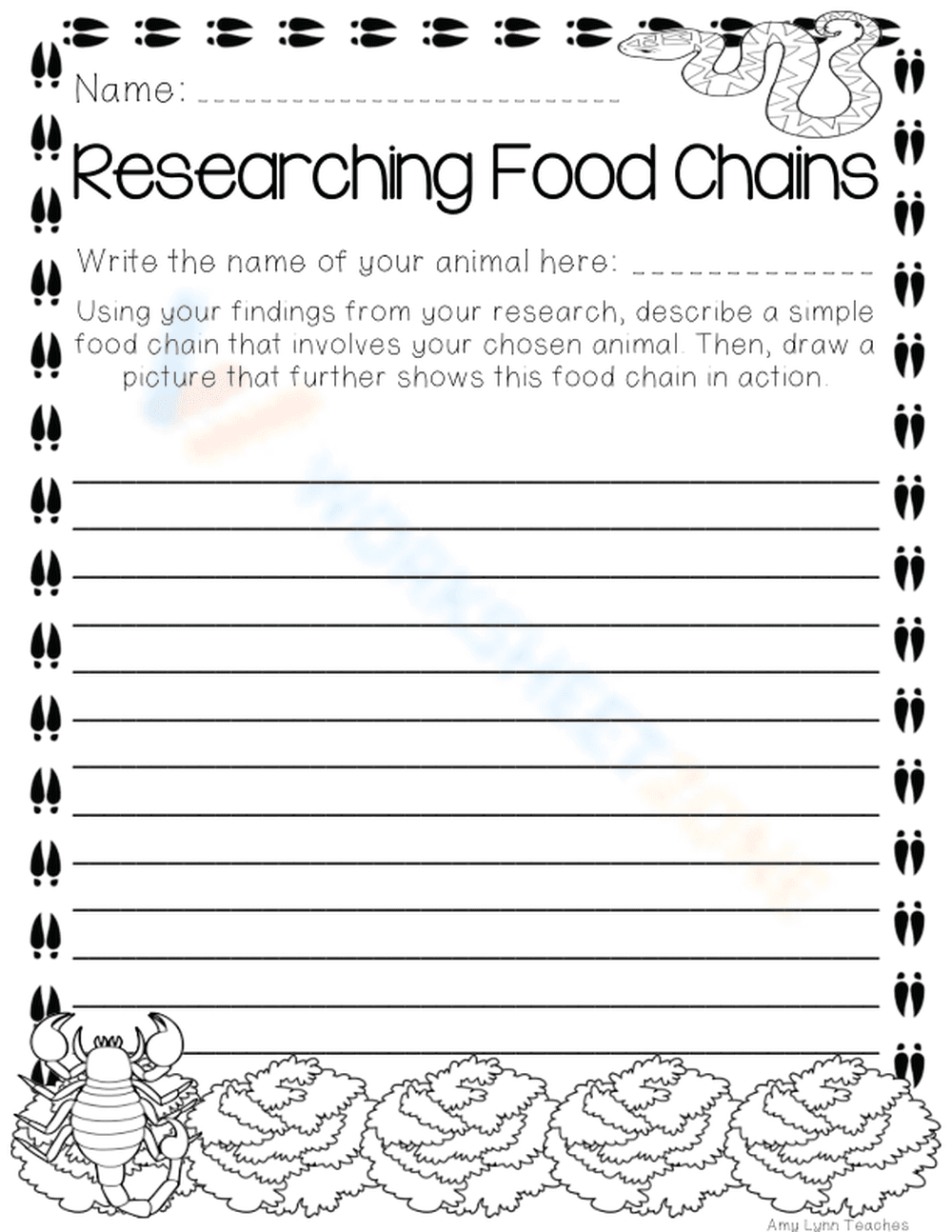 Printable Food Chain Worksheet | Grade 3 Science - Page 1
