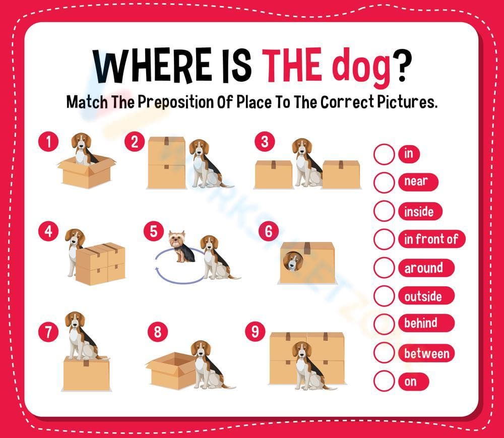 Where is the dog? - Page 1