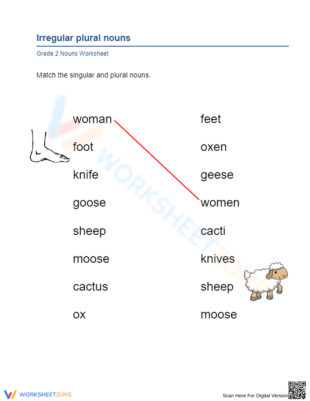 Matching Irregular Plural Nouns Activity - Page 1