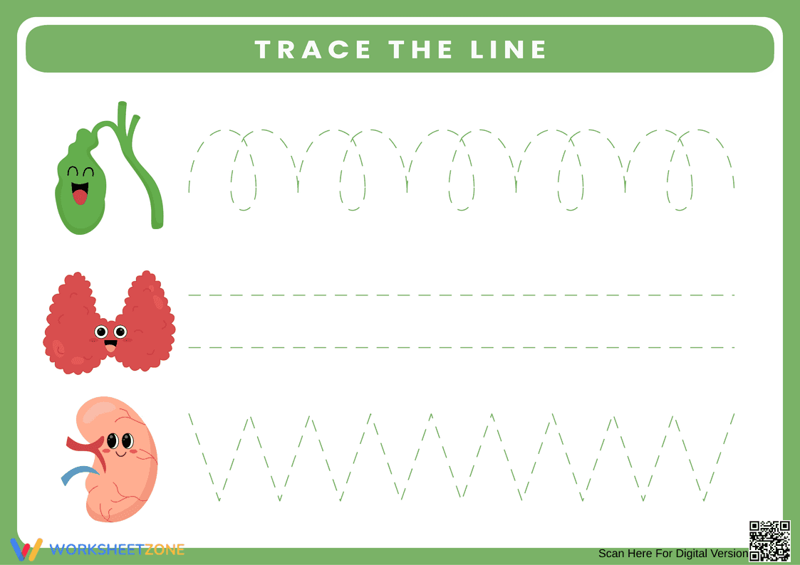 Pre-Writing Tracing Worksheet | Printable Pre-K Science - Page 1