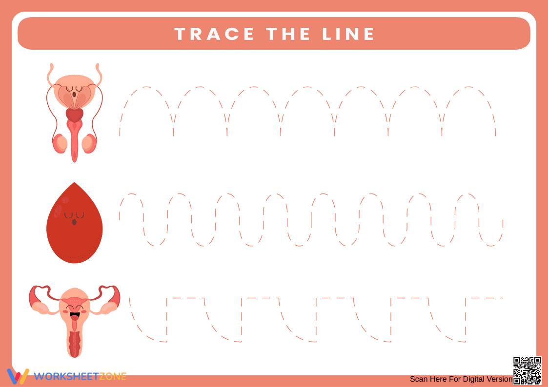 Preschool Tracing Worksheet | Essential Fine Motor Ready - Page 1