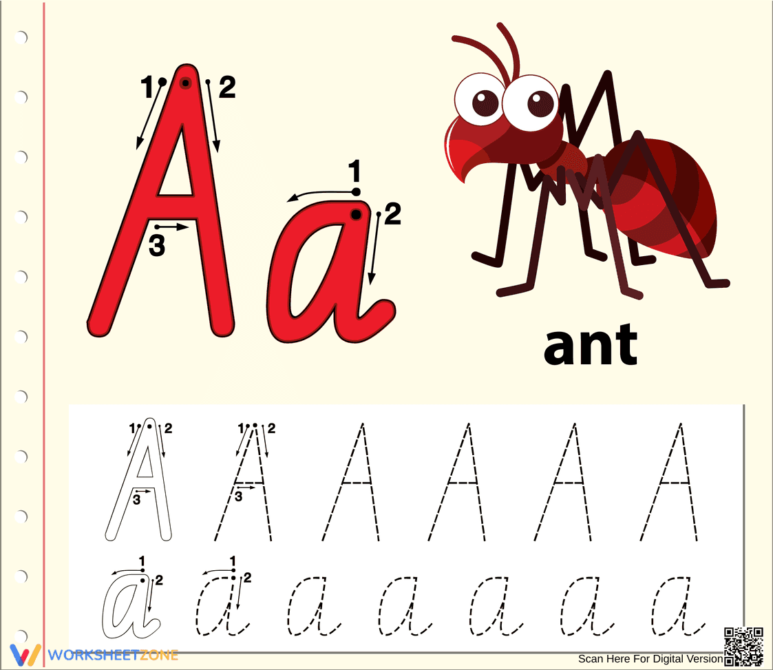 Tracing the Letter A | Essential Kindergarten Worksheet - Page 1