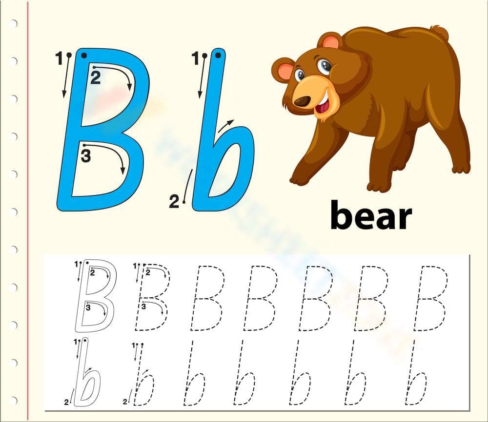 B is for Bear: Fun with Letter B Concepts - Page 1