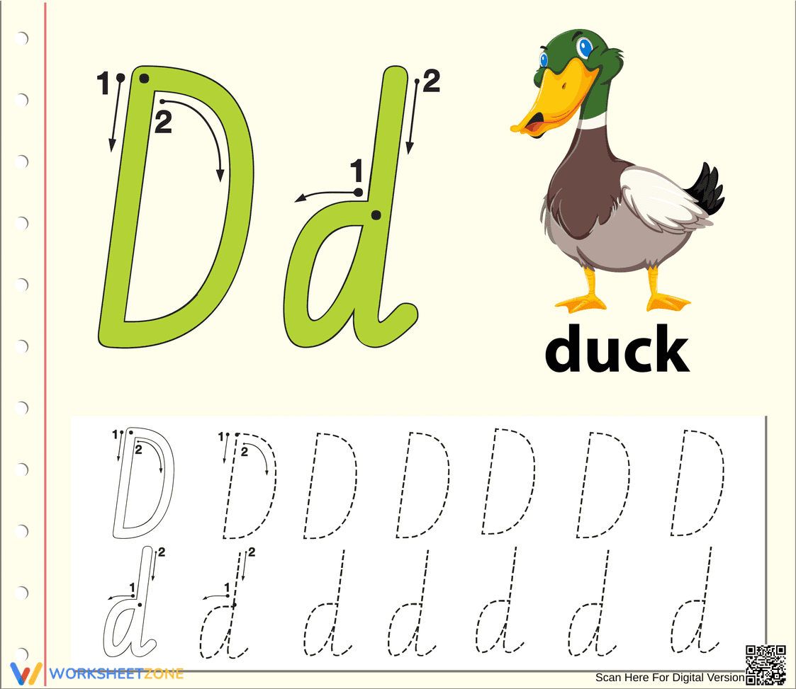 Essential Letter D Tracing Worksheet | Kindergarten - Page 1