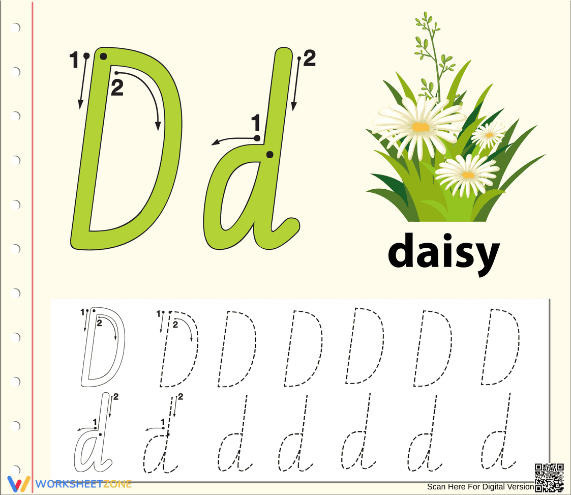 Letter D Tracing Worksheet | Printable Kindergarten ELA - Page 1