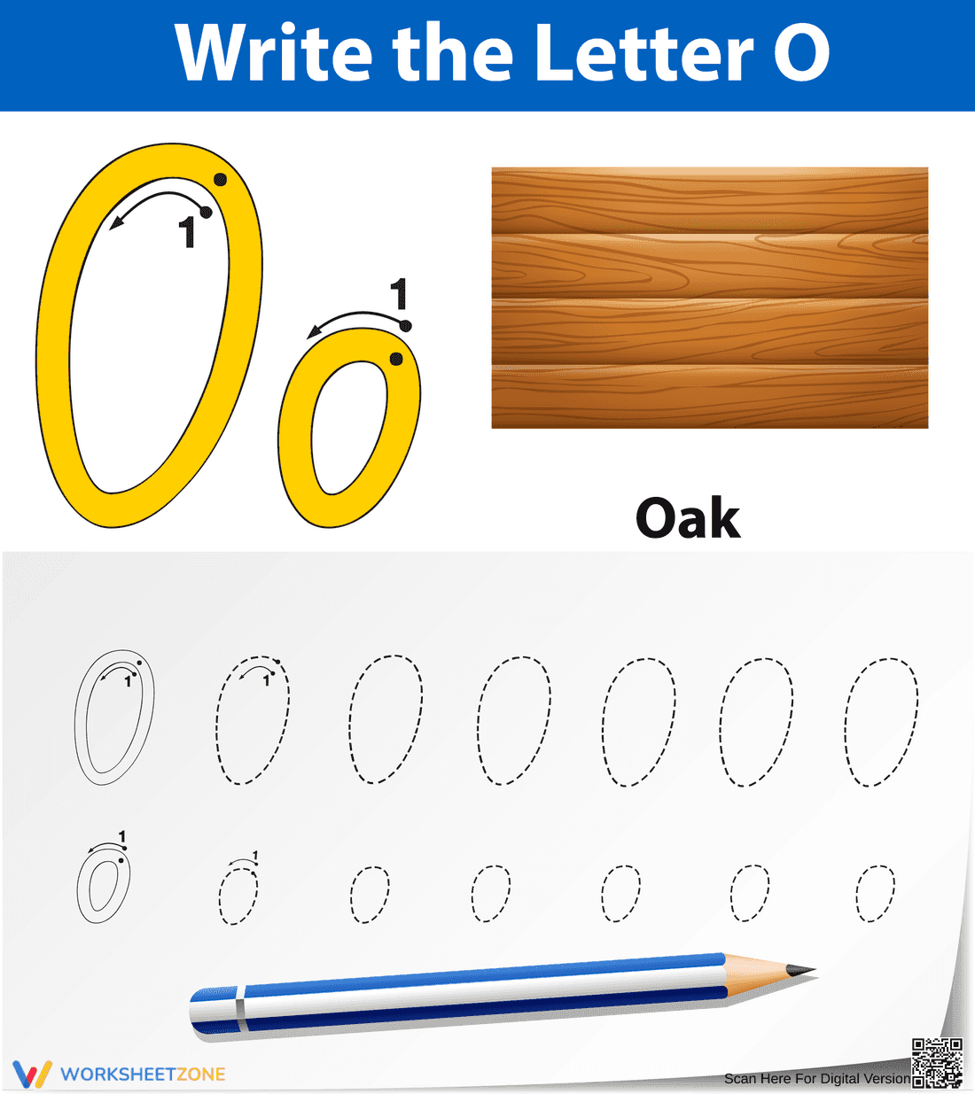 Letter O Worksheet: O is for Oak - Page 1