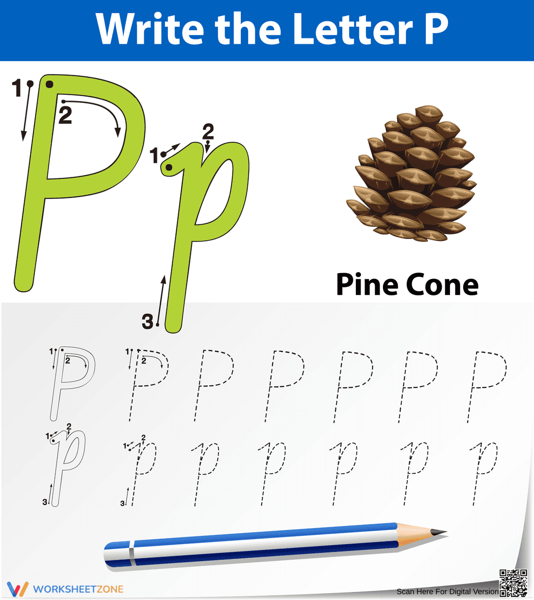 Printable Letter P Tracing Worksheet | Grade K - Page 1
