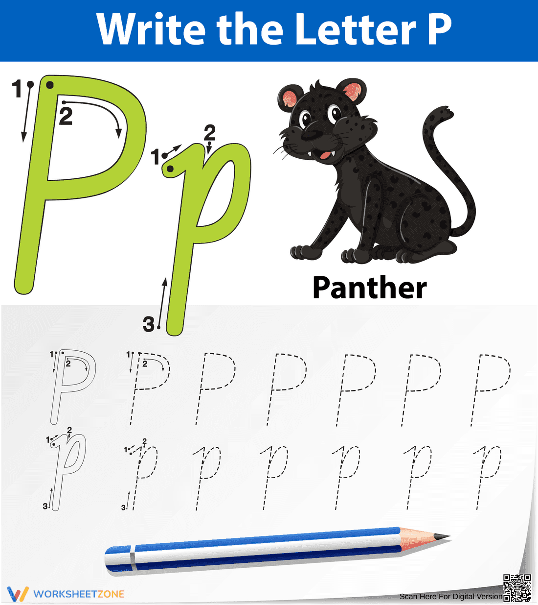 Letter P Tracing Worksheet | Essential Grade K Handwriting - Page 1