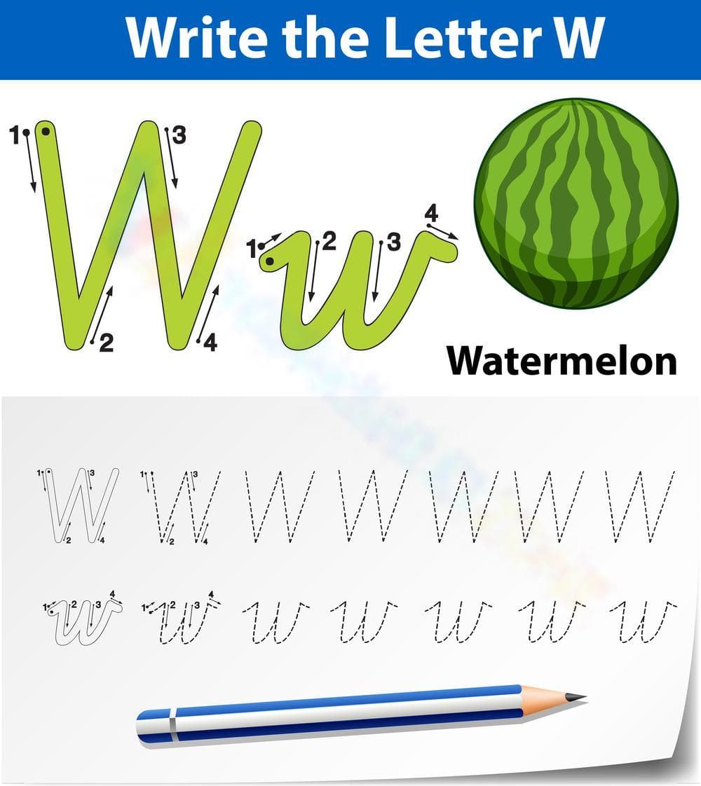 Letter W Tracing Worksheet | Grade K Printable - Page 1