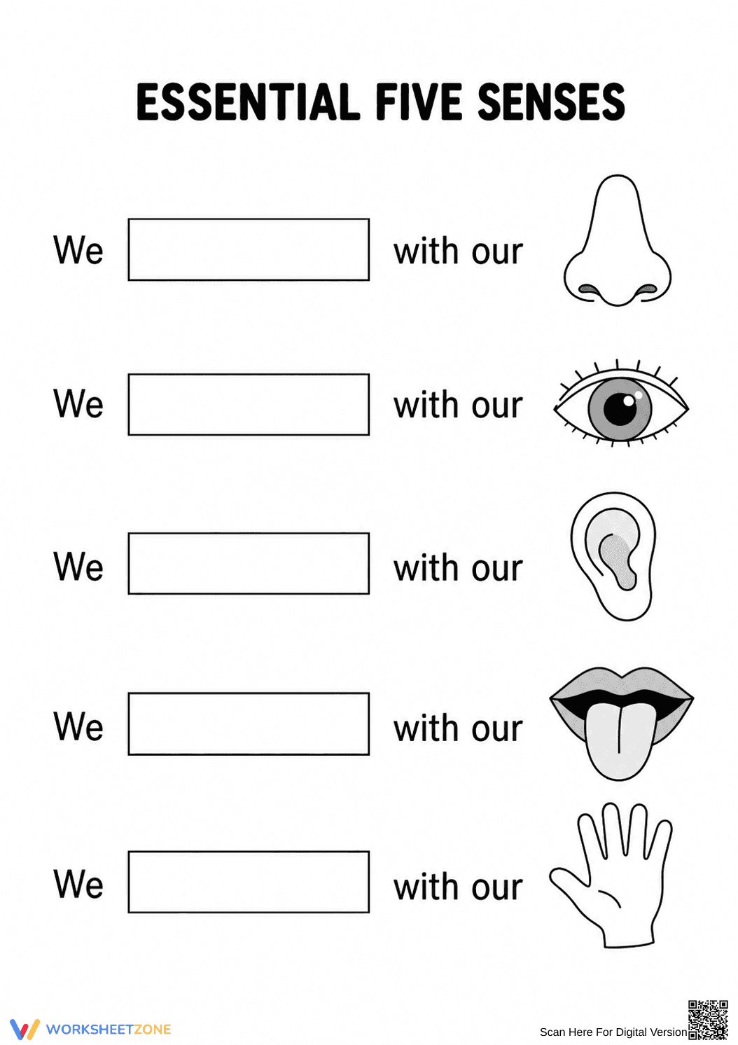 Grade 5 Five Senses — Printable No-Prep Worksheet - Page 1