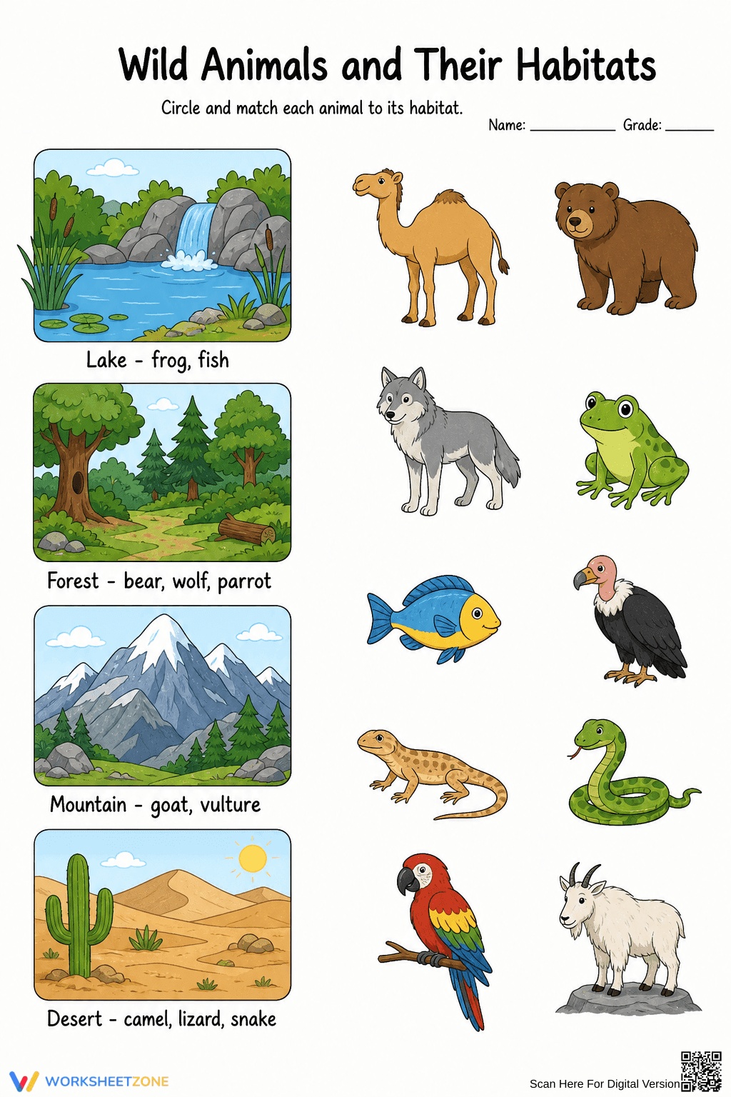 Essential Animal Habitats Worksheet | Grade 2 Ready - Page 1