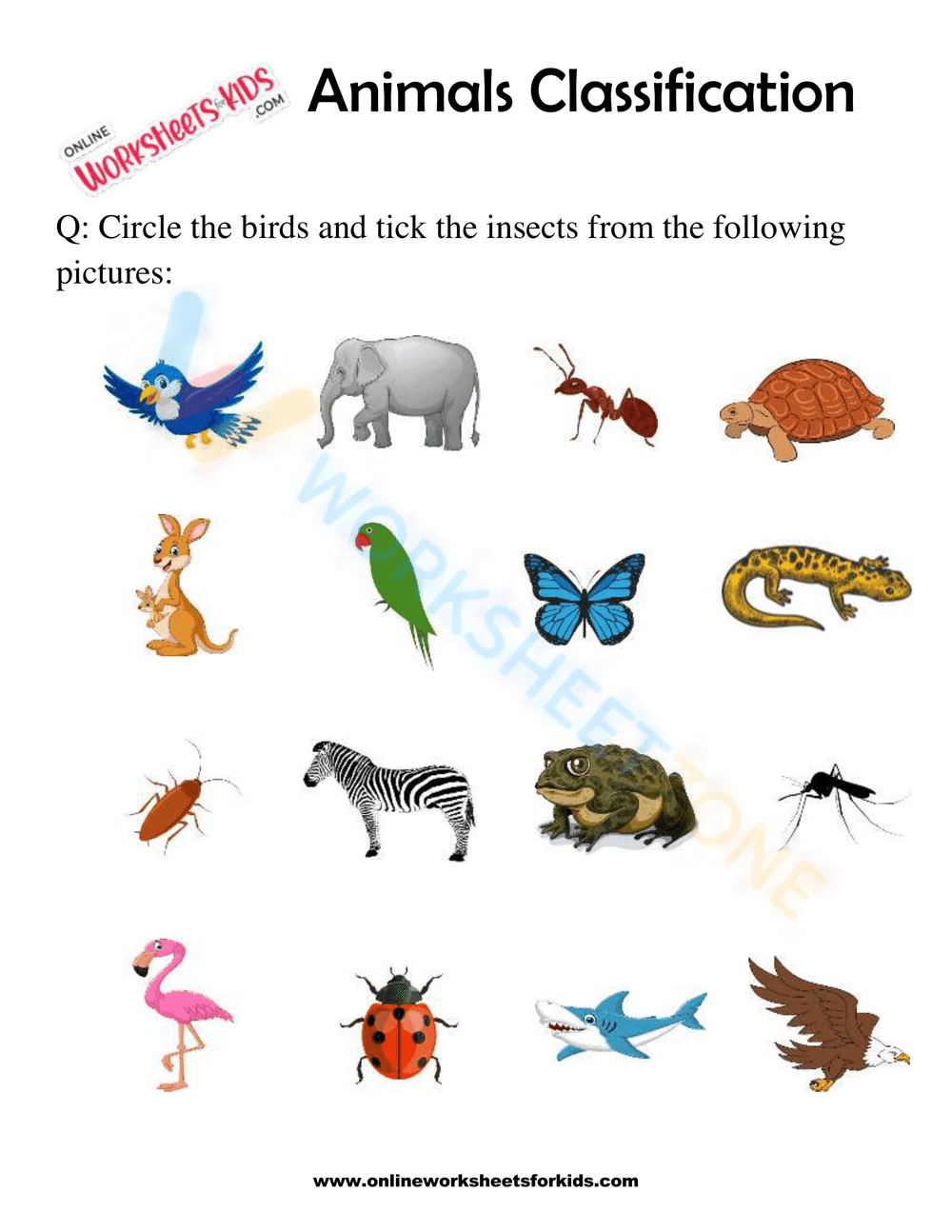 Animals Classification Worksheet For 1st Grade 7 - Page 1