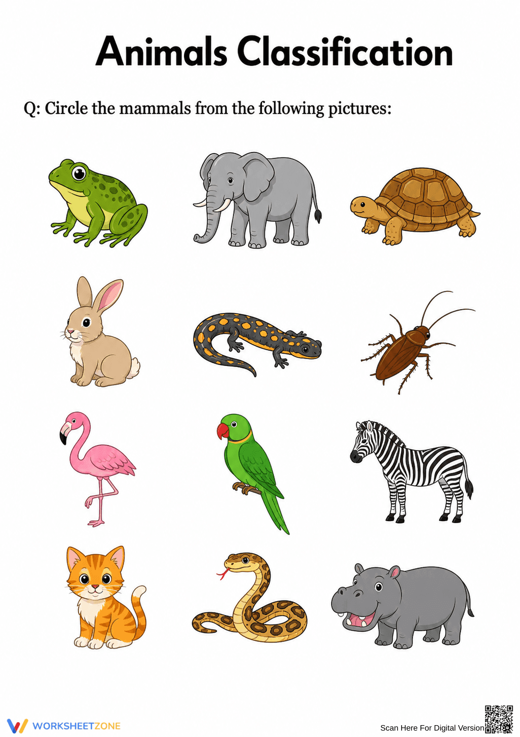 Grade 1 Animal Classification — Printable No-Prep Worksheet - Page 1